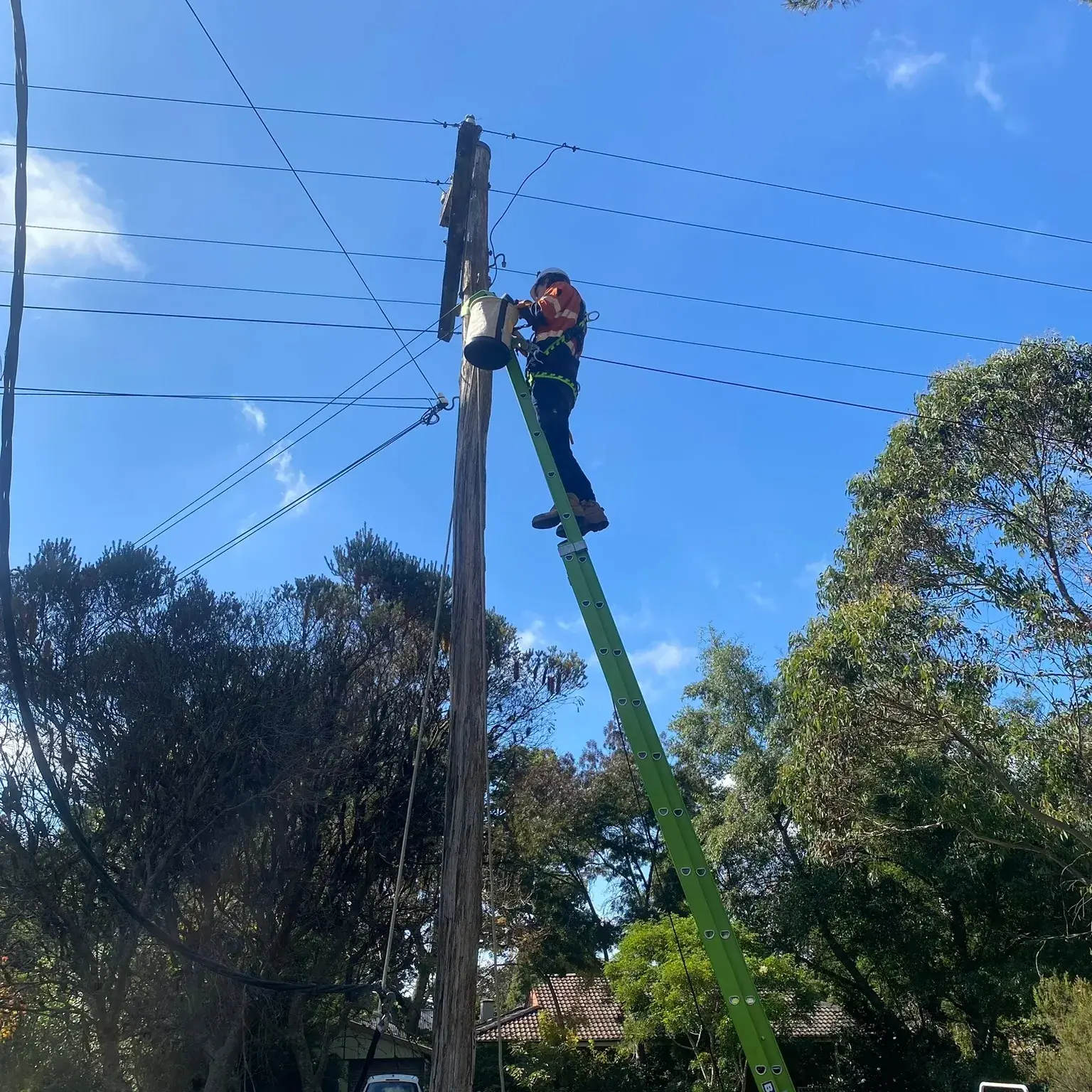 JT Electrical NSW electrician up a power pole on a Level 2 job in the Blue Mountains