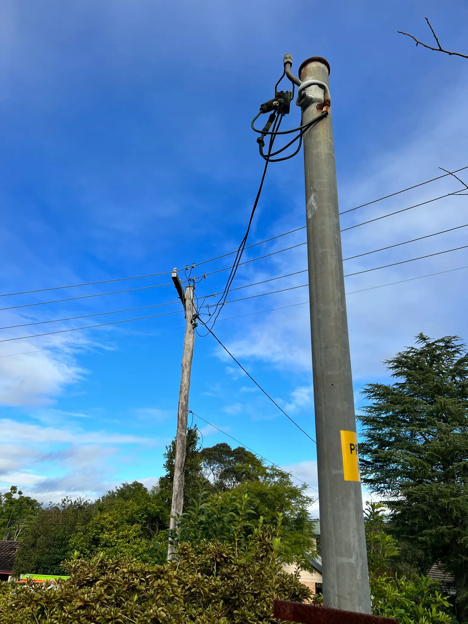 Power pole beside a Blue Mountains road